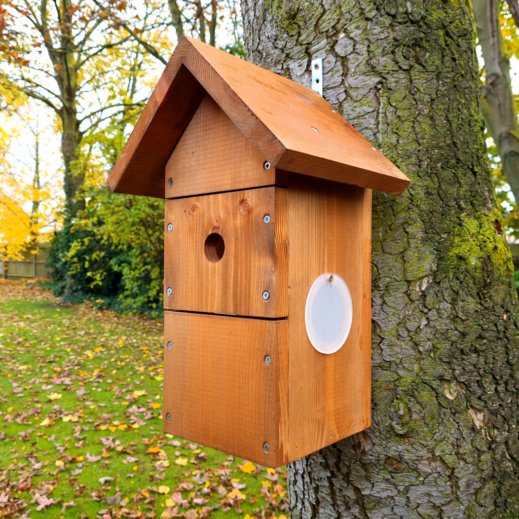 Camera ready best sale nest box