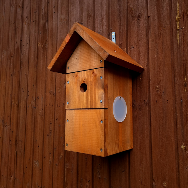 WiFi Apex Bird Box Camera