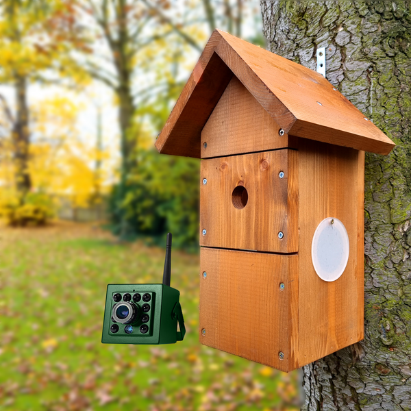 WiFi Apex Bird Box Camera