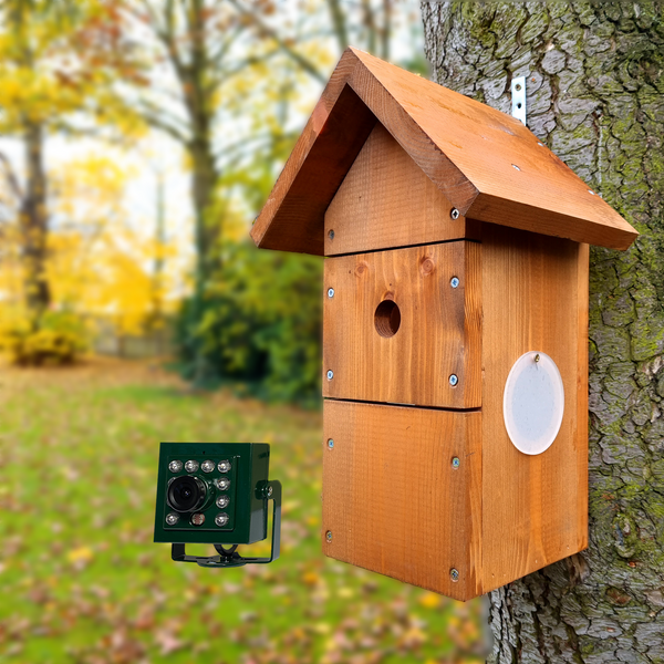 Wired Apex Bird Box Camera