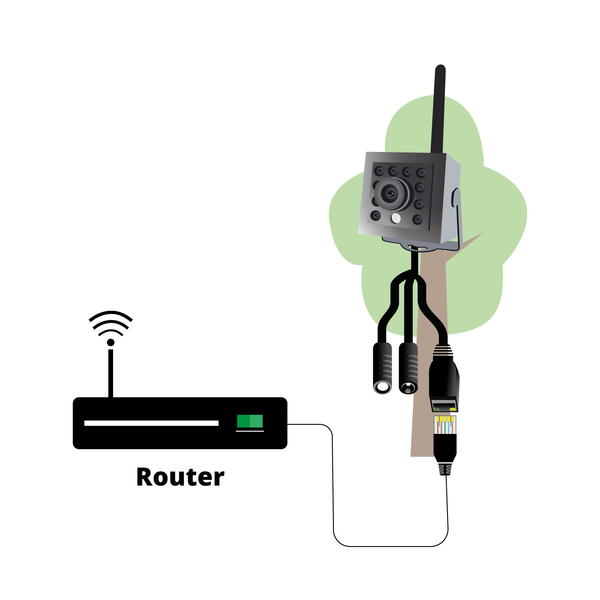 Side View Nest Box With WiFi Camera