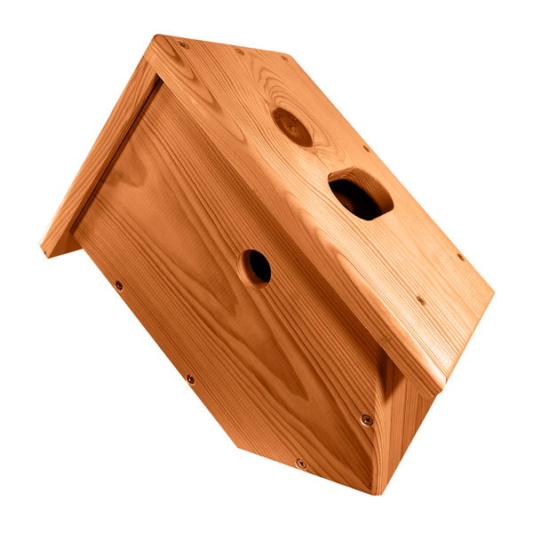 Side View Bird Box - Camera Ready