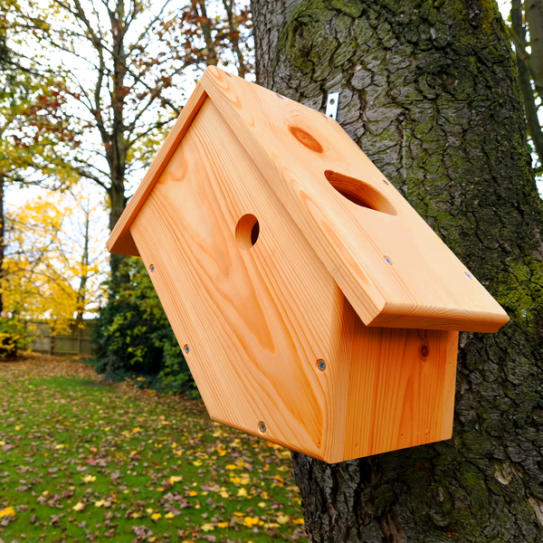 Side View Bird Box - Camera Ready