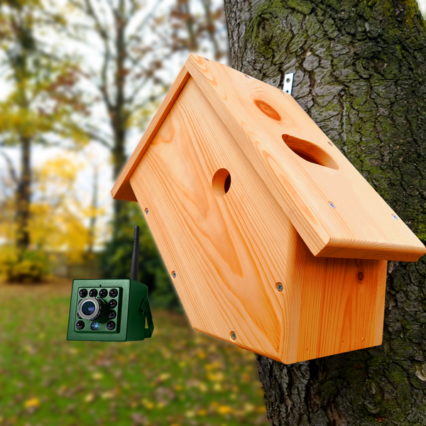 Side View Nest Box With WiFi Camera