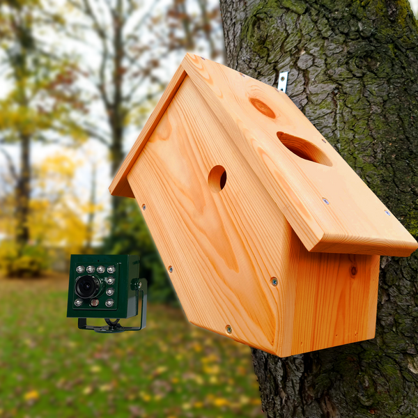 PoE IP Wired Bird Box Camera Side View